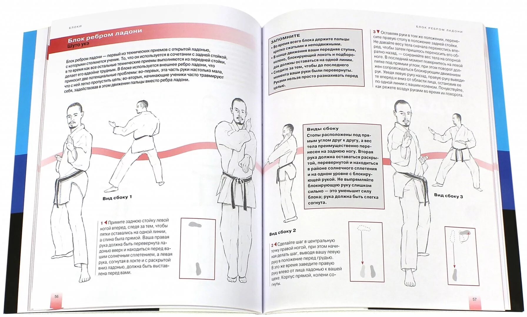 Книги по каратэ. Карате читать. Кевин хили. Данил корецкий. Книга основы карате.