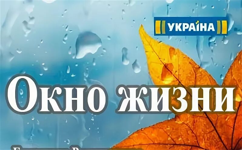 Год окну жизни. Окно жизни. Окно жизни 15. Отпуск окошко в жизнь среди серых будней.