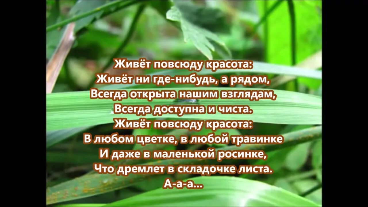 Песня живет повсюду. Живет повсюду красота стихи. Живёт на свете красота текст. Живёт на свете красота текст Антонов. Живёт повсюду красота текст.