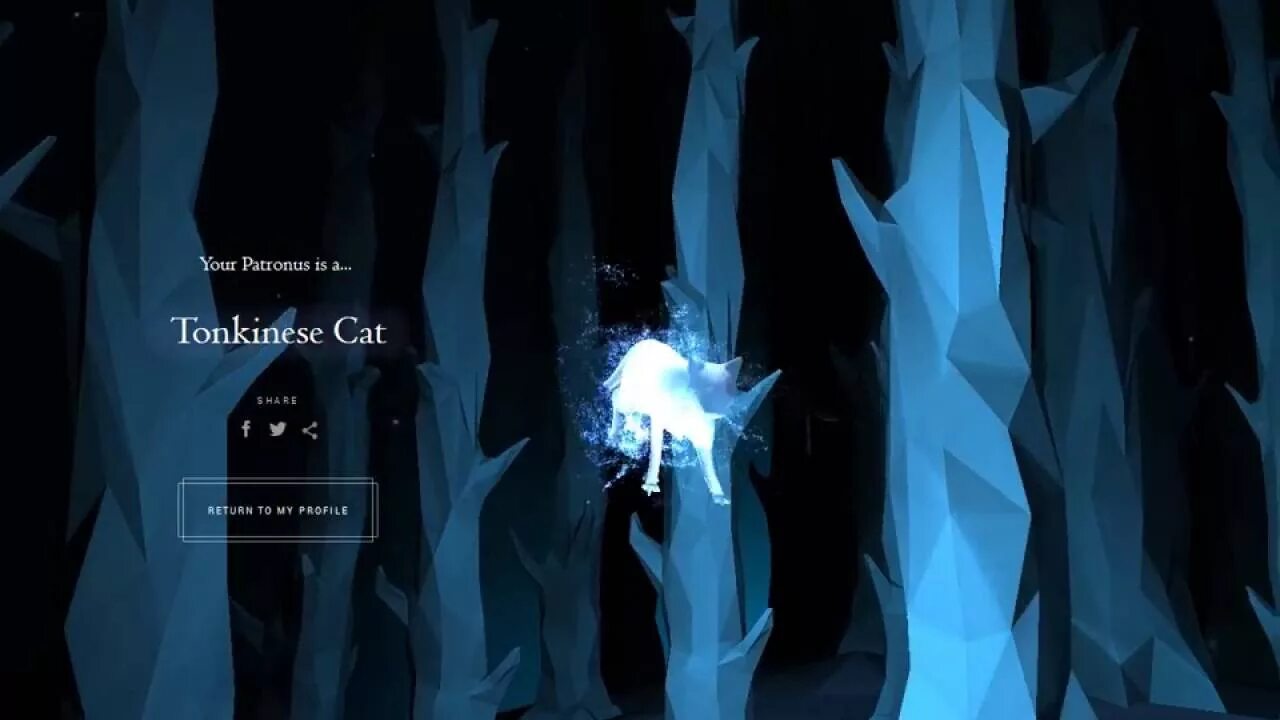 Твой патронус. Поттермор тест на патронус. Поттермор тест на патронус. Патронус из гарри поттера. Гарри поттер патронус дракон.