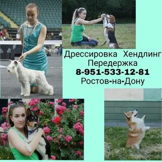 Передержек ростов на дону