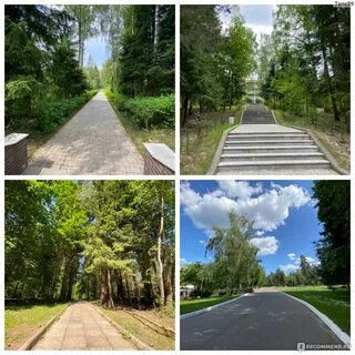 Лесные дали телефон