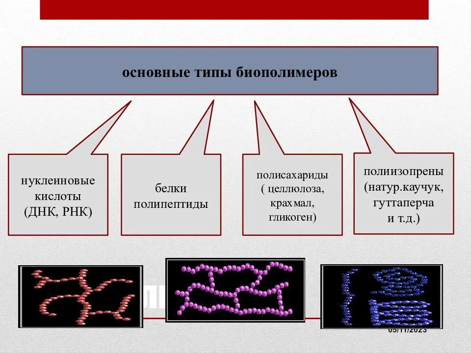 Биополимерами среди перечисленных веществ являются. Биополимерами среди перечисленных веществ являются