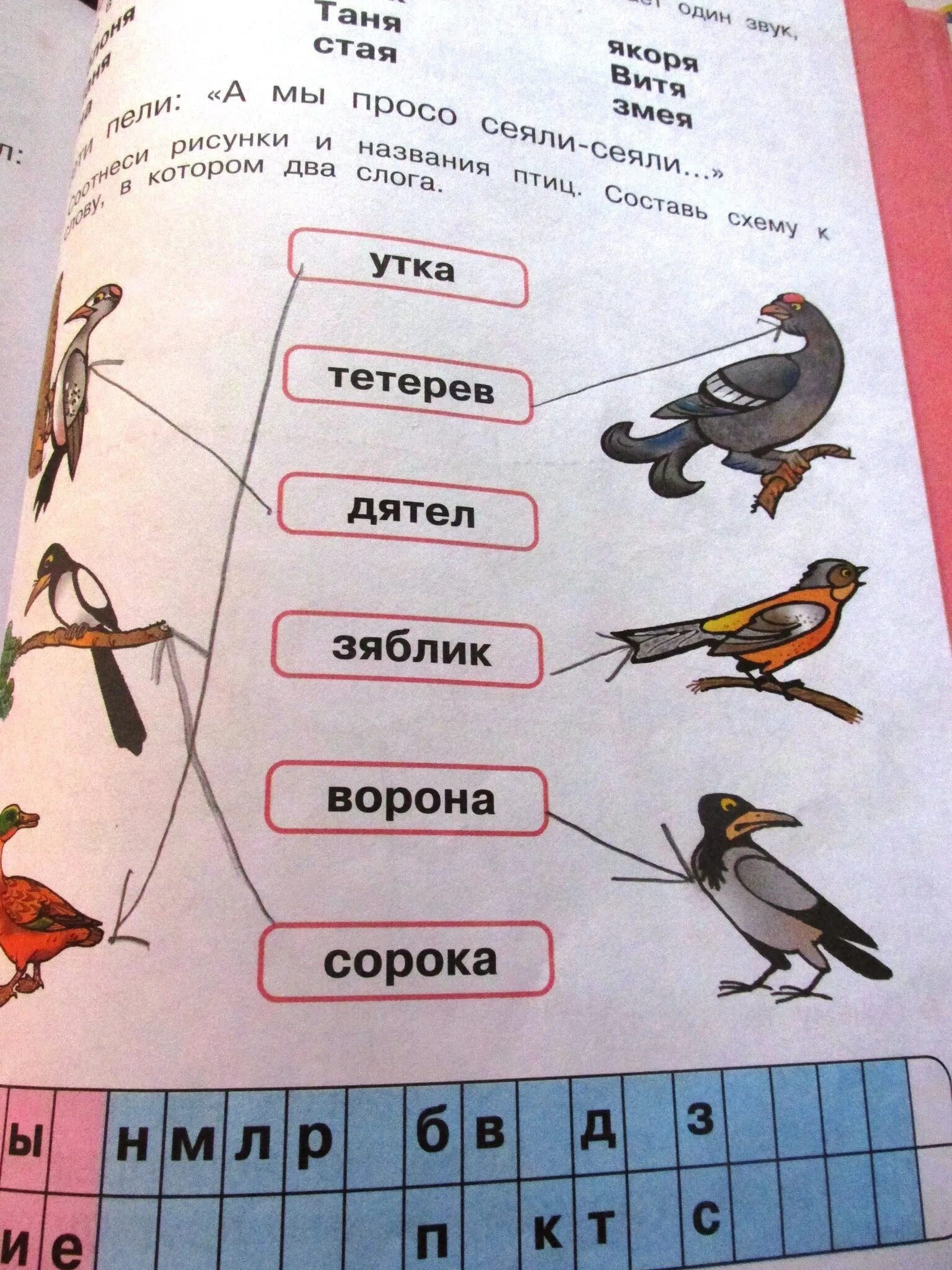 Сколько звуков в слове ворона. Схема слова утка. Дятел звуковая схема. Утка звуковая схема. Звуковая схема Зяблик.