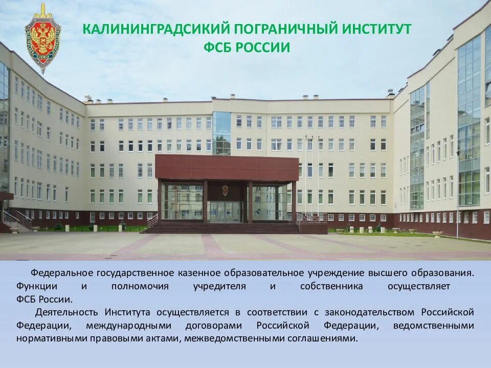 Институты безопасности россии