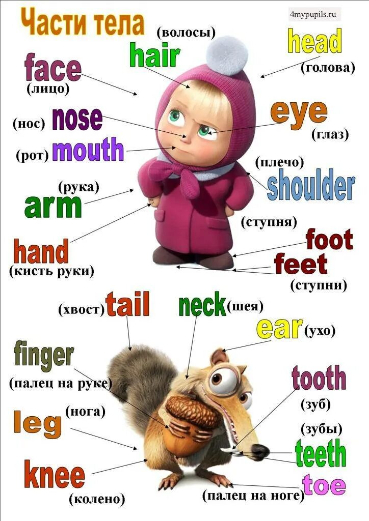 Как по английски будет проходить. Части тела на английском. Части тела на английском для детей. Части тела ангйдсикй для детей. Части теоа ра пнгл.
