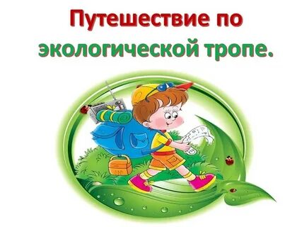 Путешествие в экологию