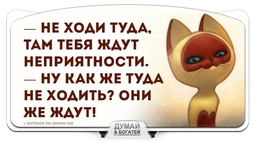 Котенок гав неприятности ждут. Ну они же ждут. Там ждут неприятности. Не ходи тебя ждут неприятности. Котенок гав.