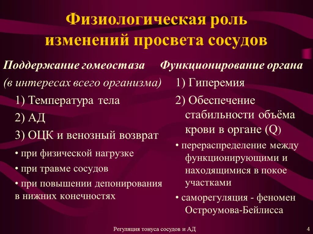 Изменение тонуса сосудов. Физиологическая роль артерий и вен. Основные нарушения тонуса сосудов. Изменение просвета сосудов.