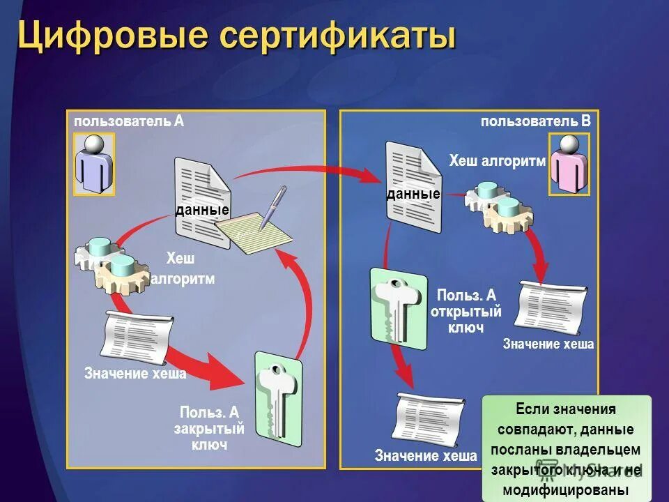 Безопасность образовательного учреждения. Структура апк безопасный город. Открытый и закрытый ключ эцп. Безопасность программы c. Схема аппаратно-программного комплекса «безопасный город».