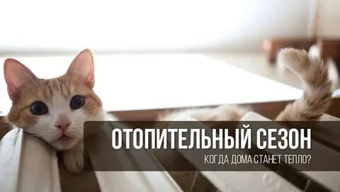 Неделя тепла