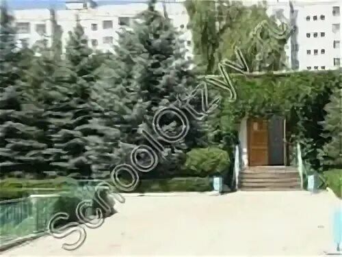 Гимназия 13 черкесск. Школа 5 черкесск история. 13 школа черкесск. Гимназия 5 города черкесска. Мкоу гимназия 5 черкесск.