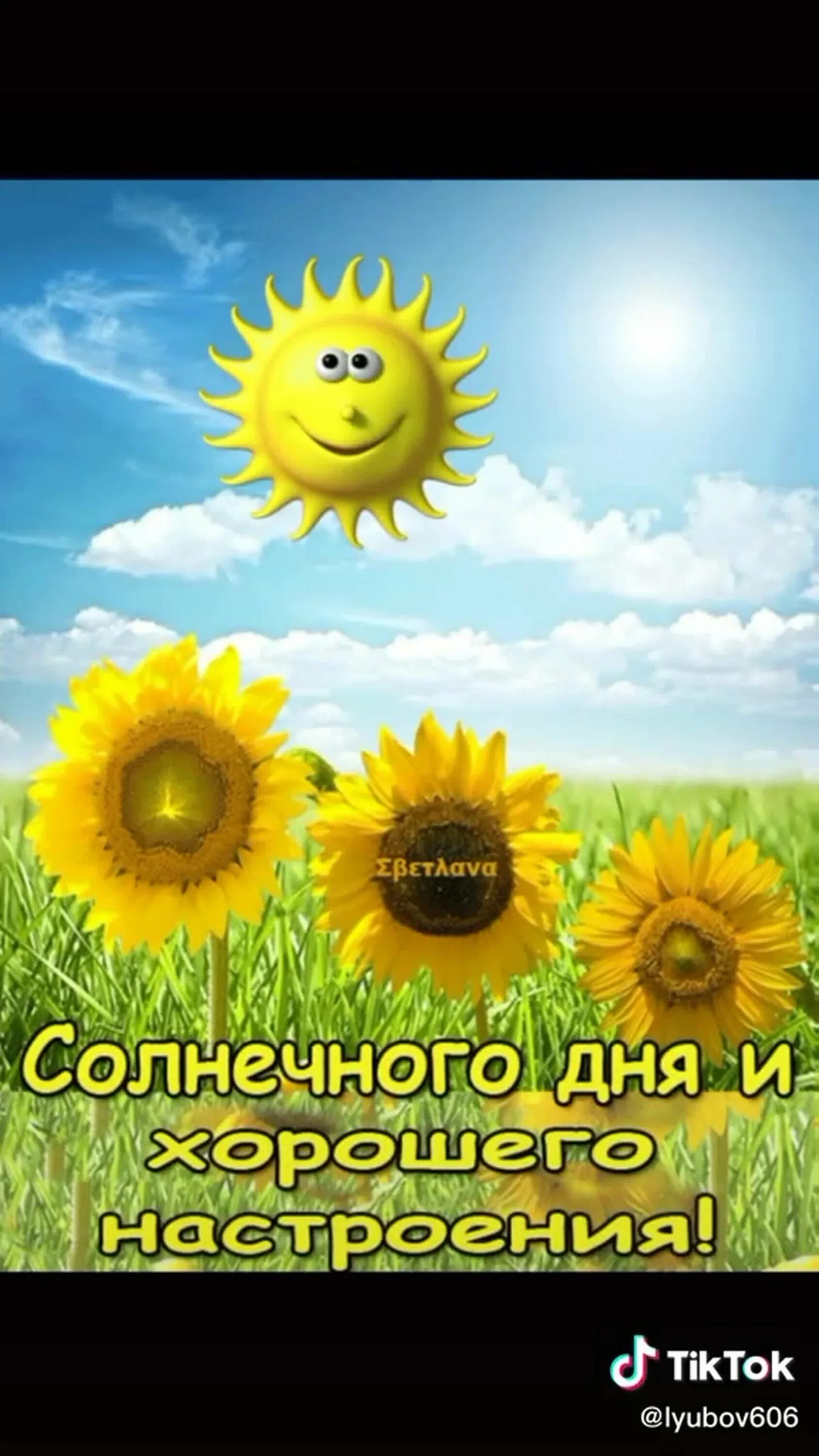 Самого солнечного дня и настроения. Солнечного настроения. солнечногоднч и хорошего настроения. солнечного утра и хорошего настроения. солнечного дня и хорошего настроения.