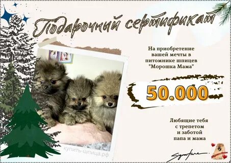 Морошка мама
