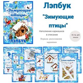 Лэпбук зимующие птицы