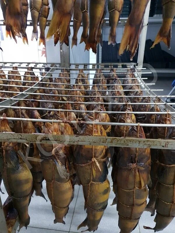 Оборудование для вяленой рыбы. Для сушки и вяления. 1004. Для сушки и вяления. Ящик для вяления рыбы.