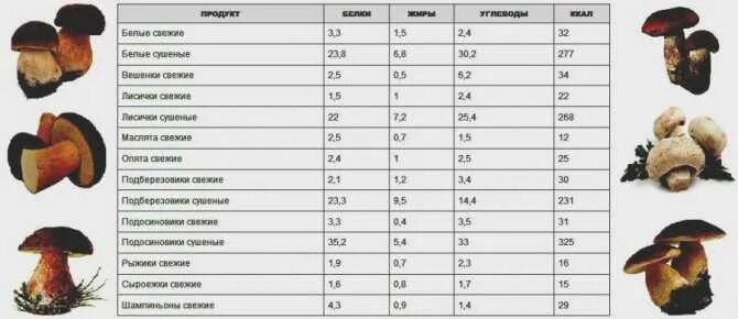 Сколько белка содержится в грибах. Грибы маслята калорийность на 100 грамм. Грибы энергетическая ценность в 100 граммах. Грибы энергетическая ценность в 100 гр. Грибы 100 грамм.