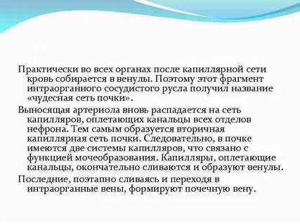 Чудесная сеть почки