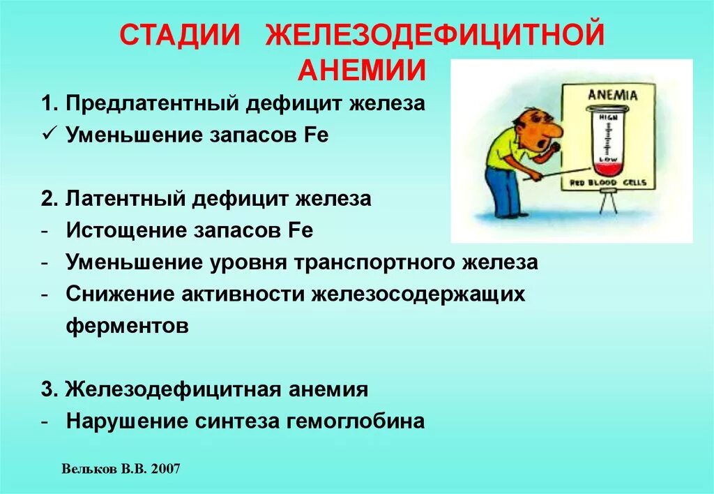 Стадии железодефицитной анемии. Этапы развития железодефицитной анемии. стадии развития железодефицитной анемии. стадии жда.