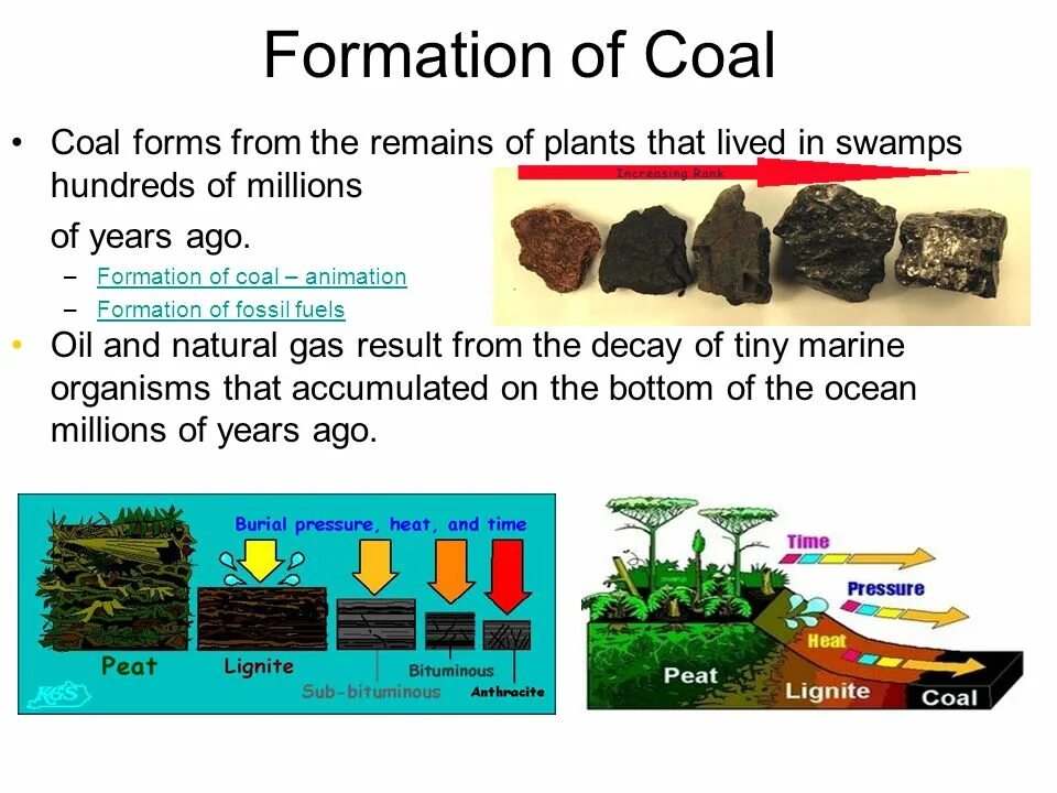 Fill in source fossil carbon organisms. Coal formation. fossil fuels is. formation of fossil fuels. название элемента coal.