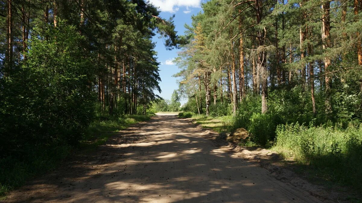 Карта транспорта верхневолжья тверь. Тверь орша сегодня. Берестеново. Орша тверская область. Орша под тверью.