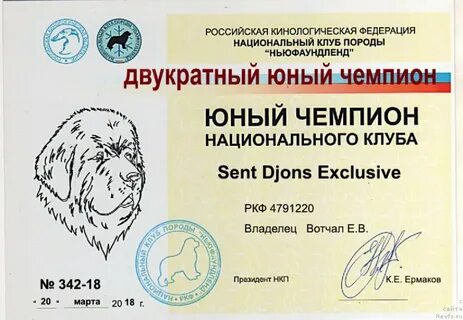Юный чемпион