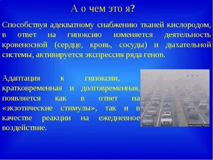 Адаптация к гипоксии