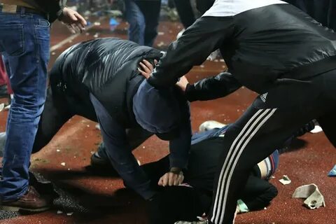 Драка татвола