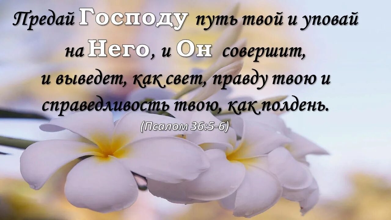 Бог в твоей жизни. Открытки со стихами из Библии. Христианские тексты из Библии. Картинки с Цитатами из Библии. Стихи из Библии.