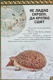 Ладно скроенный