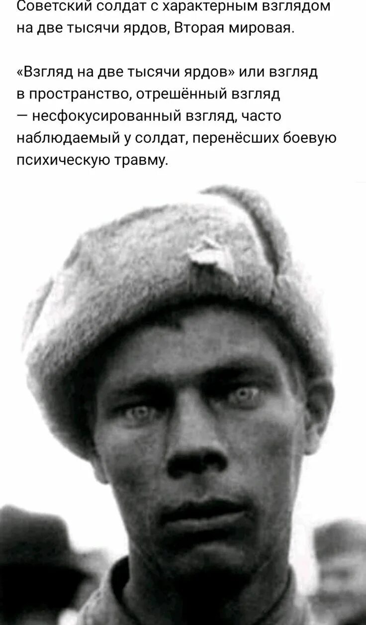 Две тысячи ярдов группа. Неизлечимо больны две тысячи ярдов. Взгляд на две тысячи ярдов почему. Две тысячи ярдов фармацевт. Неизлечимо больны две тысячи ярдов.