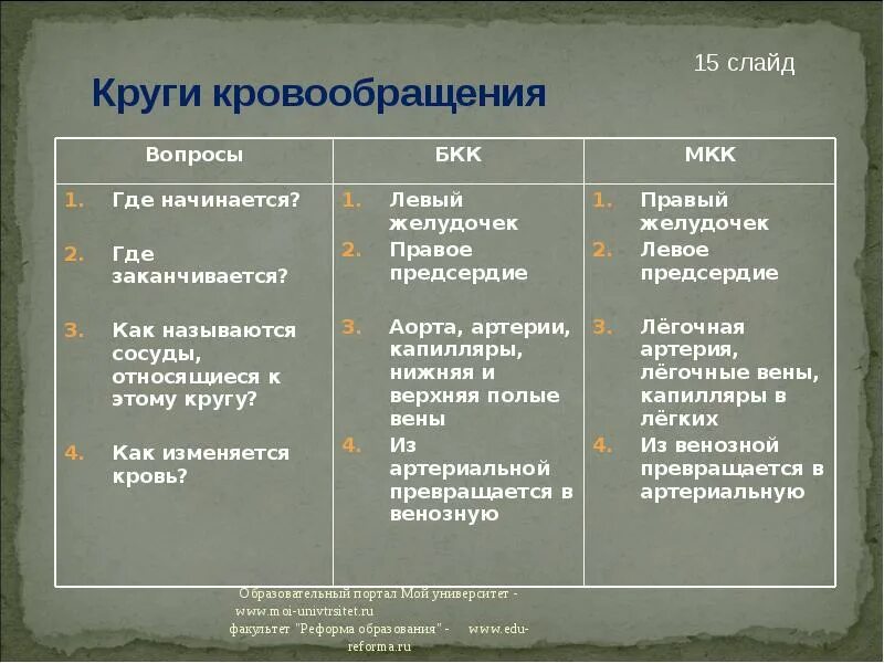 Таблица малого круга кровообращения. БКК круг кровообращения. Круги кровообращения таблица. Сравнение малого и большого круга кровообращения. Где заканчивается малый круг кровообращения.