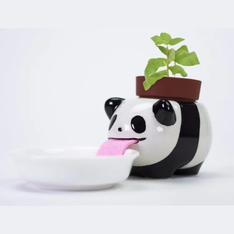 Интересные горшки для цветов. Милый горшочек. Креативные горшки для цветов. Милые цветочные горшки. Необычные цветочные горшки.