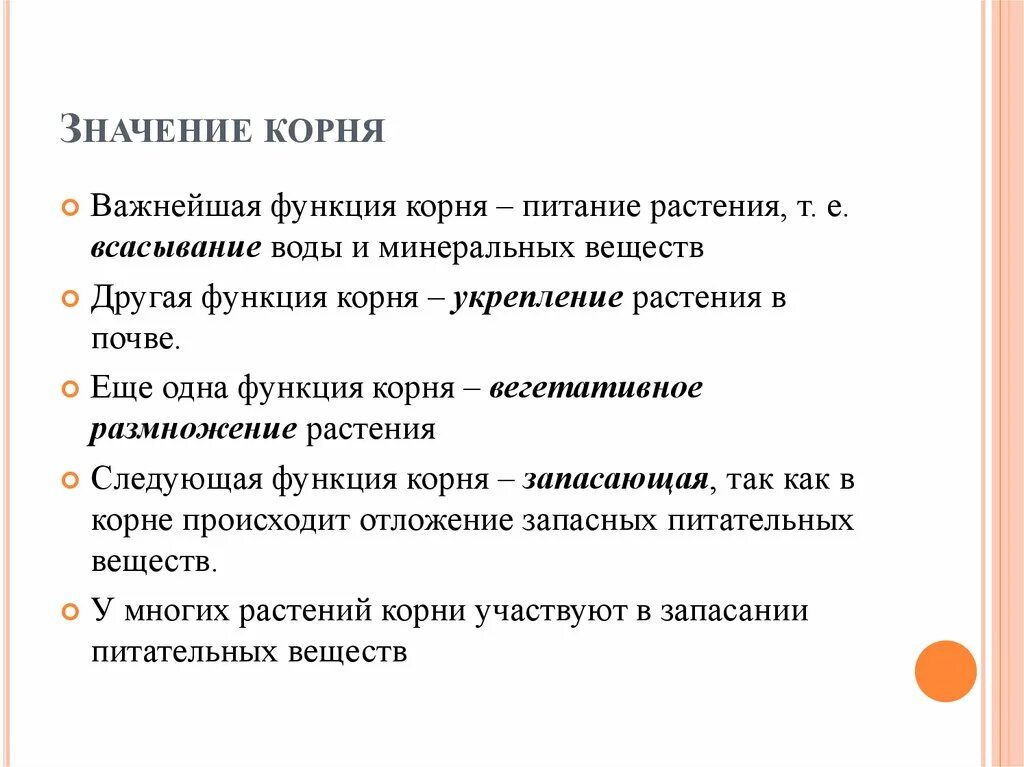 Какое значения корня. Значение корня для растения. Значение корня в жизни растения.