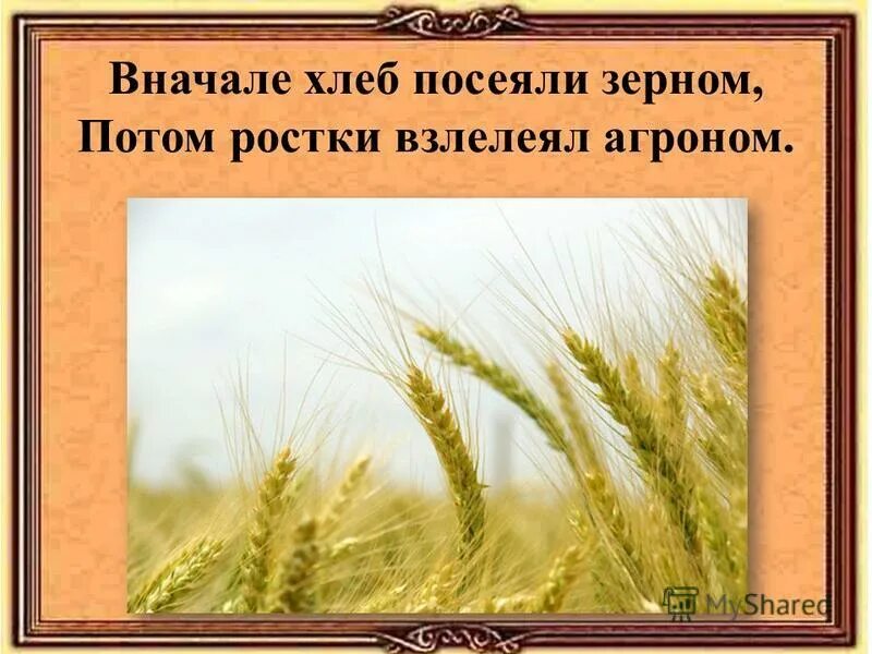 мясоедов сеятель. хлебушка не сеют. хлебушка не сеют. хлебушка не сеют. хлебушка не сеют.