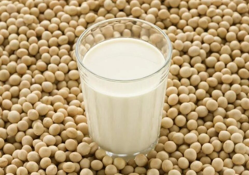 растительный белок соя. соевое молоко белки. соевый напиток. соевое молоко. исследовательский проект детский молоко.