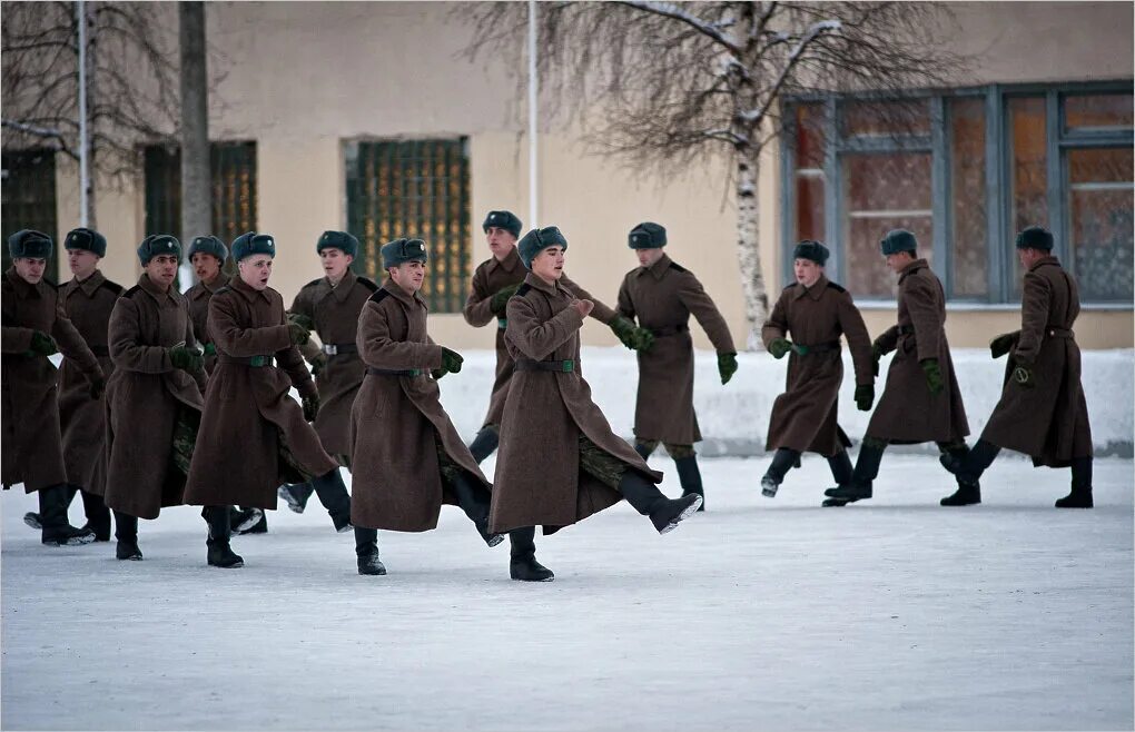 Дисциплинарная рота. Мулинский дисбат. Дисбат Мулино. Мулино дисбат гауптвахта. Дисбат 12801.