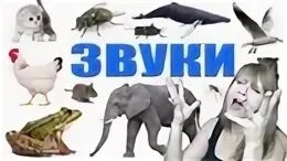 Угадай голос