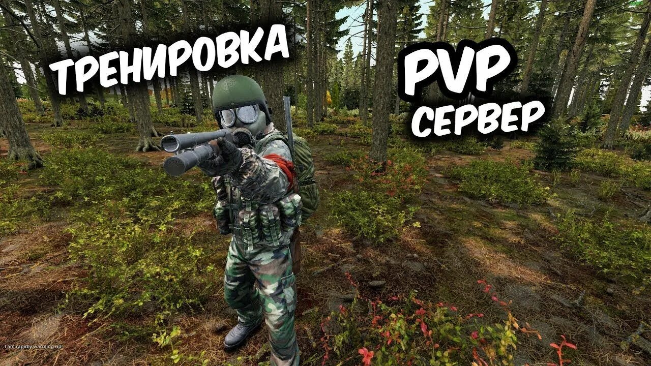 Сервера DAYZ. DAYZ Standalone сервера. DAYZ ПВП. Дейз ПВП серверы.