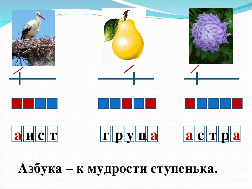 Схема слова. Звуковая схема слова Азбука. Составление звуковых схем 1 класс. Аист звуковая схема.