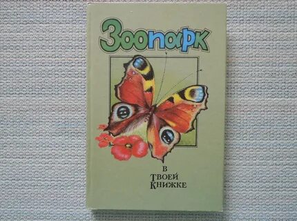 Какая твоя книга