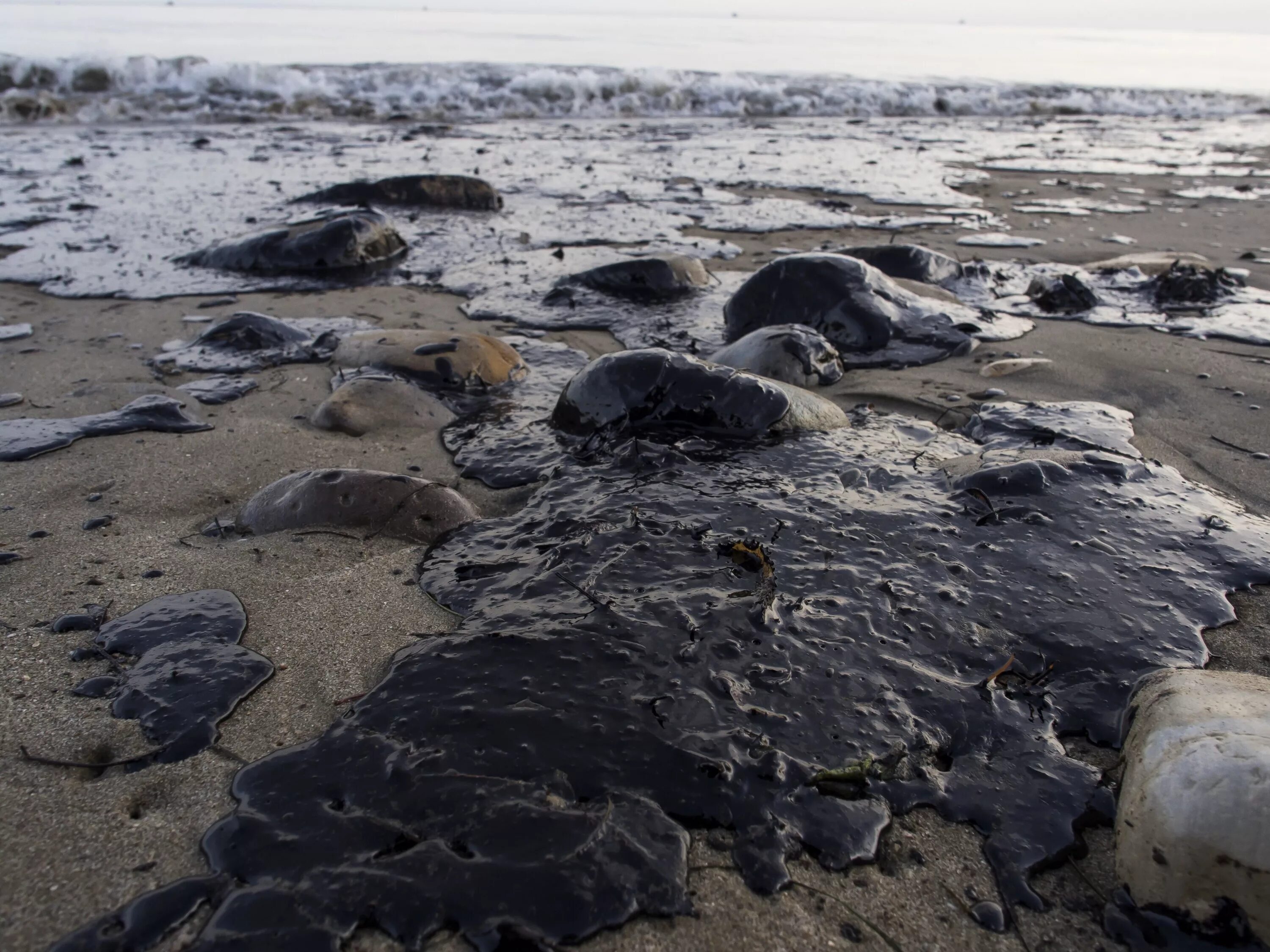 Черное море загрязнено нефтепродуктами. Разлив нефти в Санта Барбаре. Экологическая катастрофа 1969 Санта Барбара. Экологическая катастрофа в море разлив нефти.