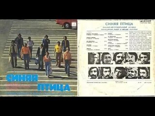 Синяя птица ты мне не снишься