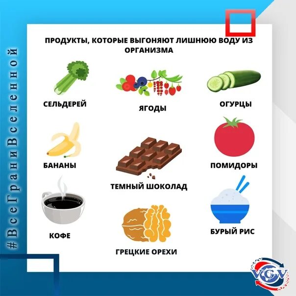 Продукты для вывода жидкости. Продукты которые выводят жидкость из организма. Продукты которые выводят воду. Продукты задерживающие воду в организме.