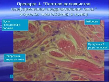 Плотная неоформленная ткань
