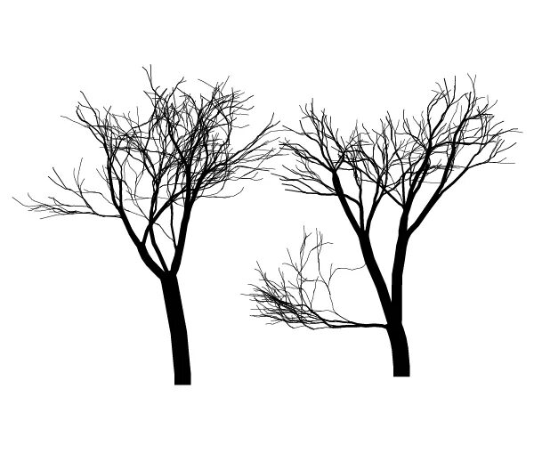 Tree like