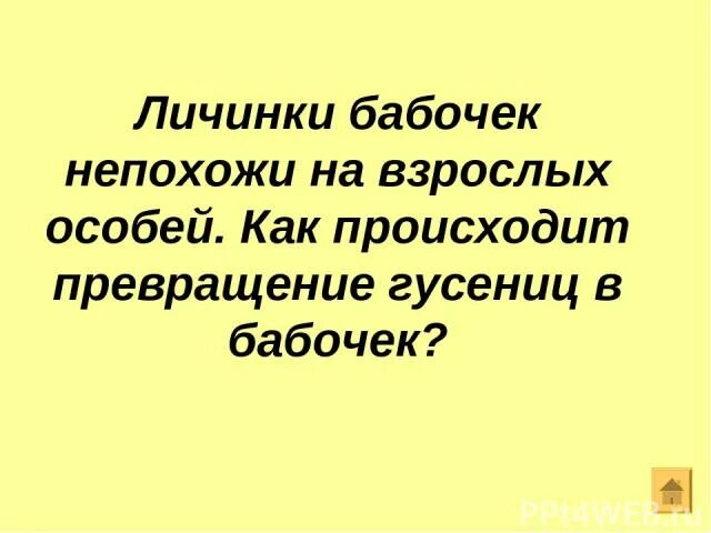 Личинки непохожи на взрослых особей.