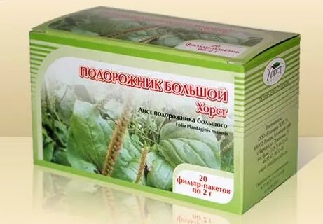 Подорожник трава отзыв