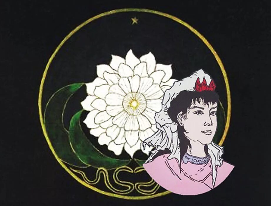 Секта лотос. Секта белый лотос в китае. Общество белого лотоса китай. Секта белый лотос в китае. Скубаев владимир черкассы.