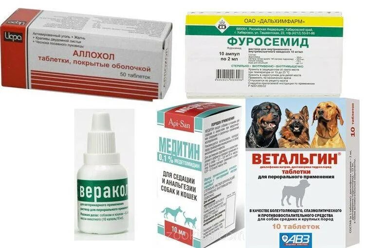 Стронгхолд для собак: от блох и клещей - отзывы